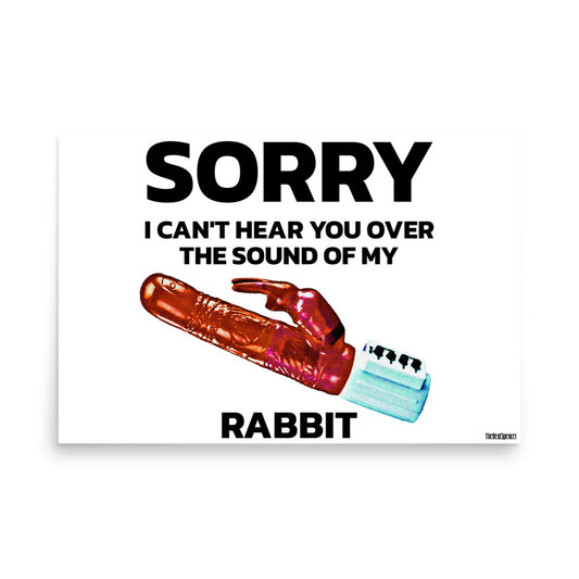 Sound Of My Rabbit Poster