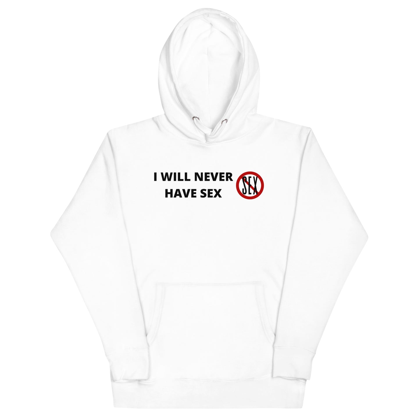 I Will Never Have Sex Hoodie